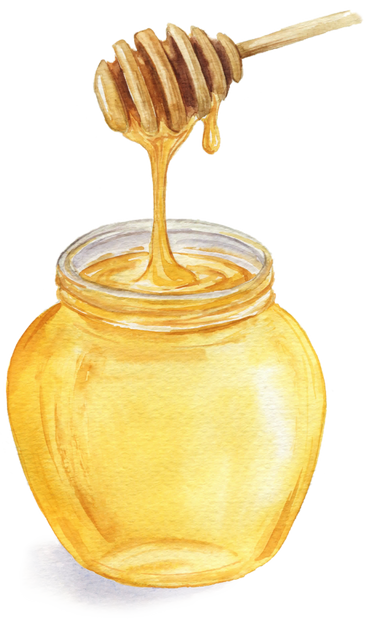 Watercolor Honey Jar